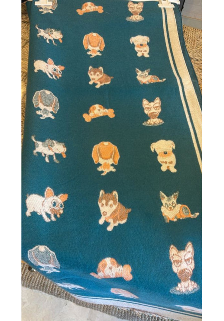 Pashmina